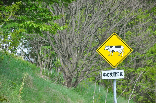 牛の標識